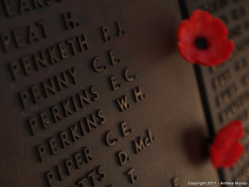 Image of the Australia War Memorial, Roll of Honour, 17th Battalion EC Perkins 4503 - 3