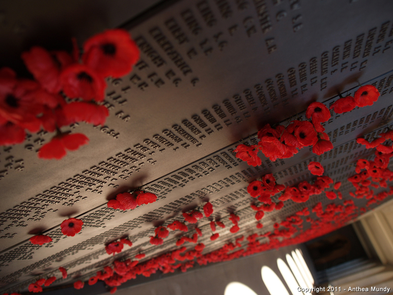 Image of the Australia War Memorial, Roll of Honour, 17th Battalion EC Perkins 4503 - 4