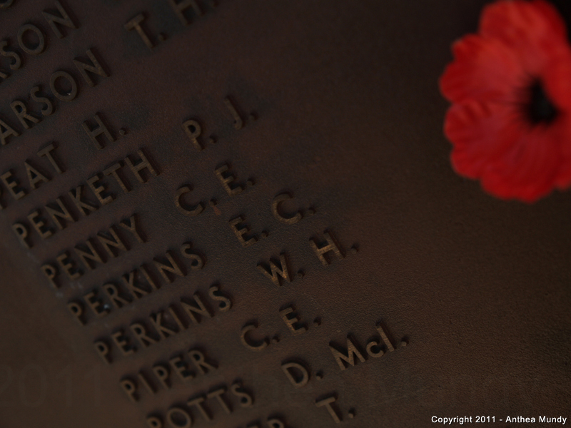 Image of the Australia War Memorial, Roll of Honour, 17th Battalion EC Perkins 4503 - 5