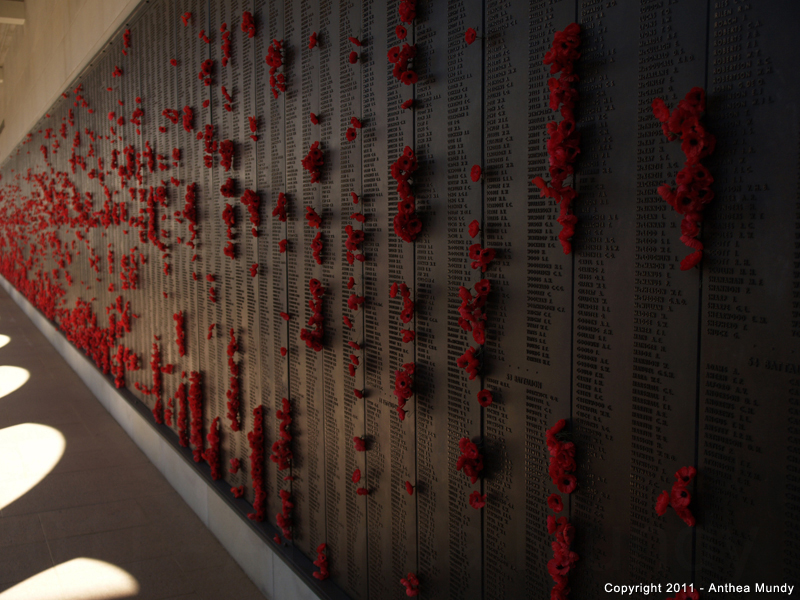 Image of the Australia War Memorial, Roll of Honour, First World War -1