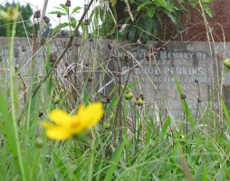 Image of Rookwood Cemetery memorial for EC Perkins